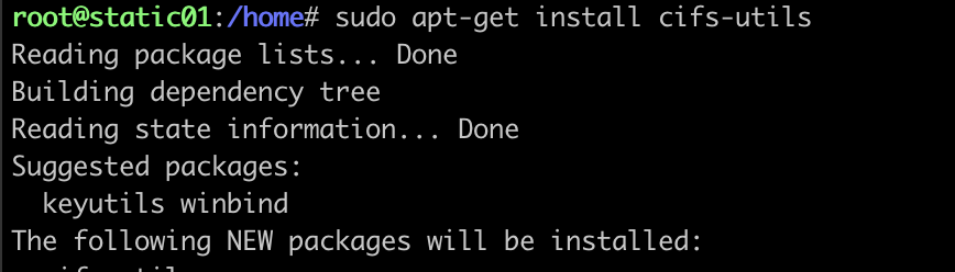 sudo apt install nfs-common